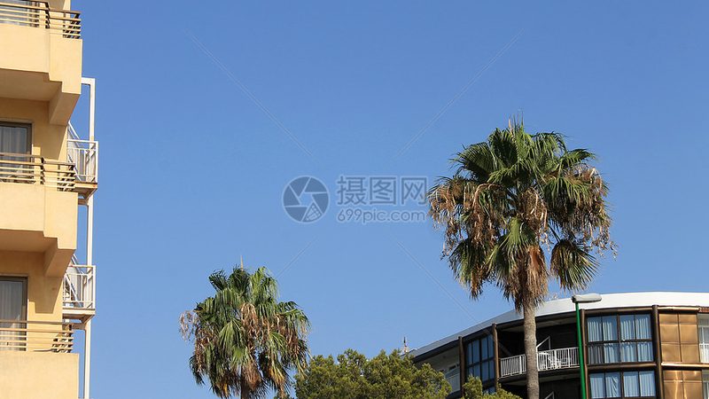 团建拓展行业的头部品牌，到底在卷什么